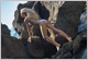 Kinia - Hostess polacca