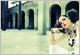 Roxana - Promoter rumena